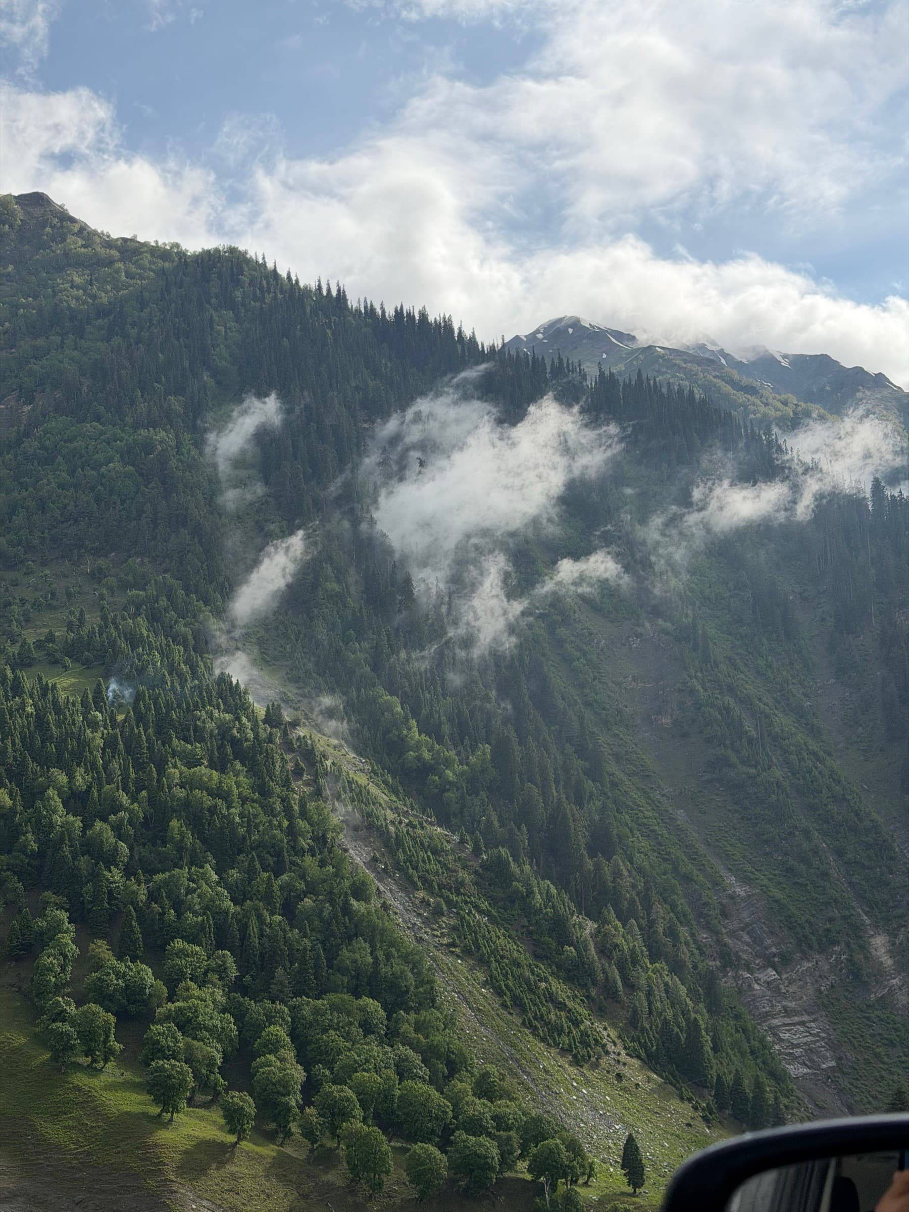 Mist drifting through a green mountain forest