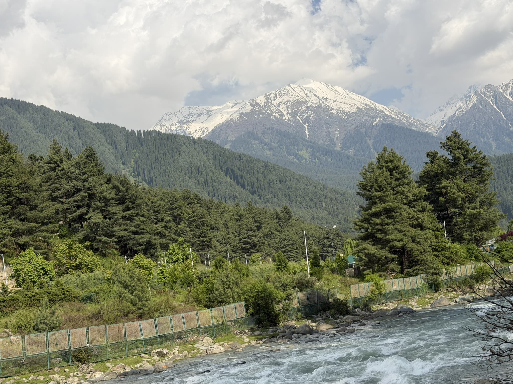 A river running below a forest and snow-covered mountains